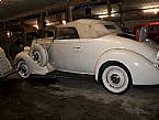 1936 Packard Convertible