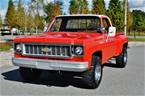 1974 Chevrolet C20