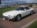 1988 Jaguar XJS