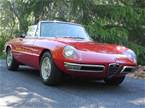 1967 Alfa Romeo Duetto