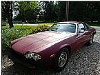 1979 Jaguar XJS