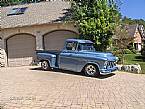 1955 Chevrolet 3100