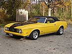1973 Ford Mustang