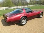 1981 Chevrolet Corvette Picture 10