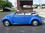 1965 Volkswagen Beetle Picture 12