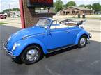 1965 Volkswagen Beetle Picture 13