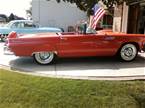 1956 Ford Thunderbird Picture 2