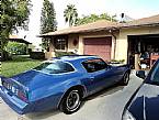 1976 Pontiac Firebird Picture 2