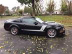 2008 Ford Mustang Picture 2