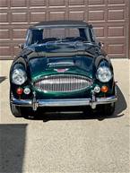 1965  Austin Healey 3000 Picture 2