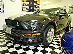 2007 Ford Shelby Picture 2