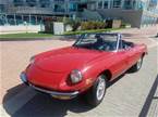 1979 Alfa Romeo Spider Picture 2