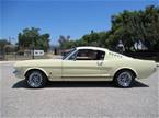 1965 Ford Mustang Picture 2