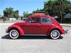 1966 Volkswagen Beetle Picture 2