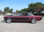 1965 Ford Mustang Picture 2