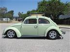 1961 Volkswagen Bug Picture 2