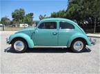 1963 Volkswagen Beetle Picture 2