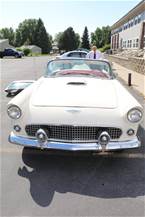 1956 Ford Thunderbird Picture 2