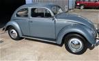 1955 Volkswagen Beetle Picture 2