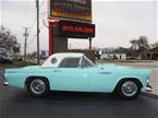 1955 Ford Thunderbird Picture 2