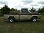 1959 Ford F100 Picture 2