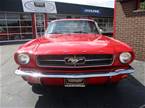 1965 Ford Mustang Picture 2