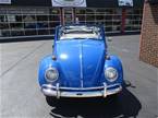 1965 Volkswagen Beetle Picture 2