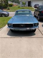 1967 Ford Mustang Picture 2
