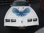 1979 Pontiac Firebird Picture 2