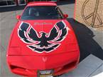 1991 Pontiac Firebird Picture 2