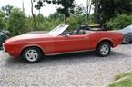 1972 Ford Mustang Picture 2