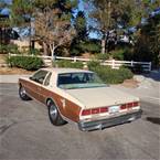 1979 Chevrolet Caprice Picture 2