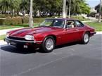 1993 Jaguar XJS Picture 2