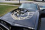 1978 Pontiac Trans Am Picture 2