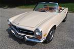 1971 Mercedes 280SL Pagoda Picture 2