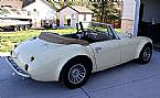 1984 Austin Healey 3000 Picture 2