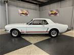 1965 Ford Mustang Picture 2