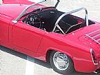 1962 Austin Healey Sprite Picture 2