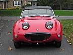 1961 Austin Healey Sprite Picture 2