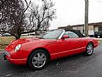 2002 Ford Thunderbird Picture 2