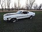 1971 Ford Mustang Picture 2