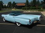 1957 Ford Thunderbird Picture 2