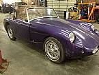 1961 Austin Healey Sprite Picture 2