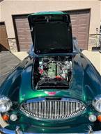 1965  Austin Healey 3000 Picture 3