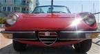 1979 Alfa Romeo Spider Picture 3