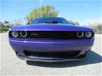 2016 Dodge Challenger Picture 3