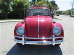 1966 Volkswagen Beetle Picture 3