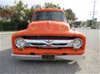 1954 Ford F100 Picture 3