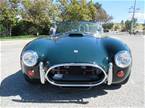 1965 Shelby Cobra Picture 3