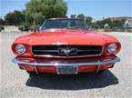 1964 Ford Mustang Picture 3